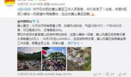 南方都市新闻爆料视频大全,揭秘爆料视频大全背后的真相与热点